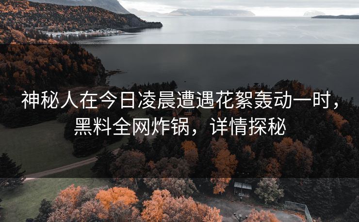 神秘人在今日凌晨遭遇花絮轰动一时，黑料全网炸锅，详情探秘