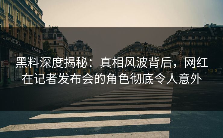 黑料深度揭秘：真相风波背后，网红在记者发布会的角色彻底令人意外