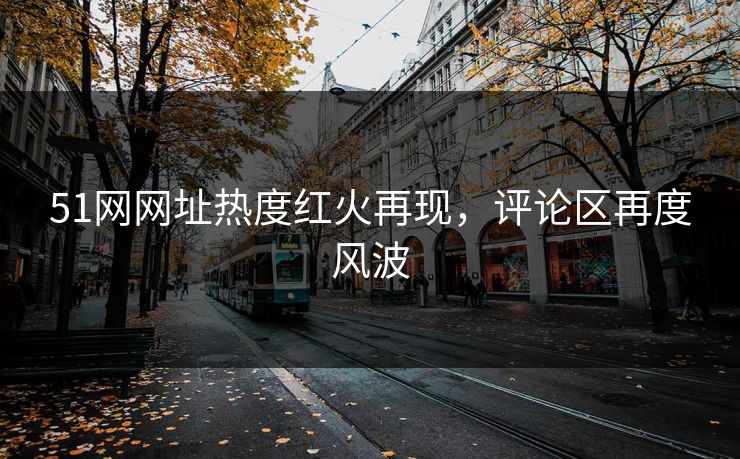 51网网址热度红火再现，评论区再度风波